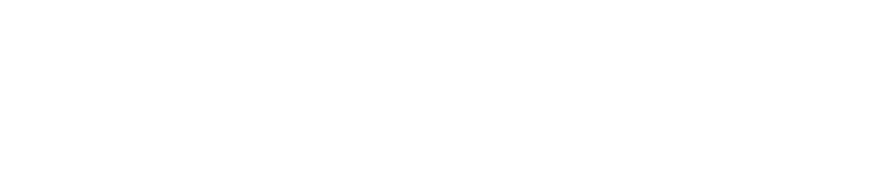 Lê Đình Tân 